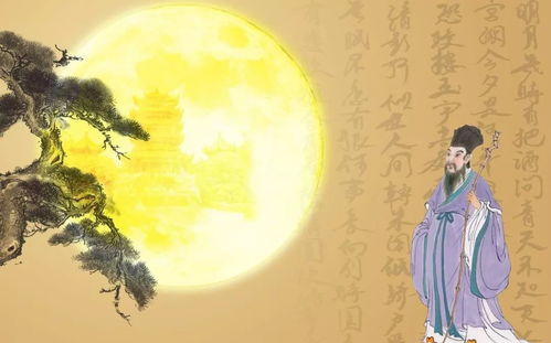 一句诗一首歌 感悟中拉的力量