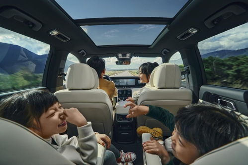 理想汽车 油箱容量多少