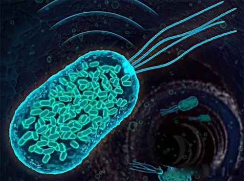 中国空间站发现微生物新物种