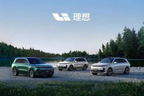 理想汽车现在亏损多少