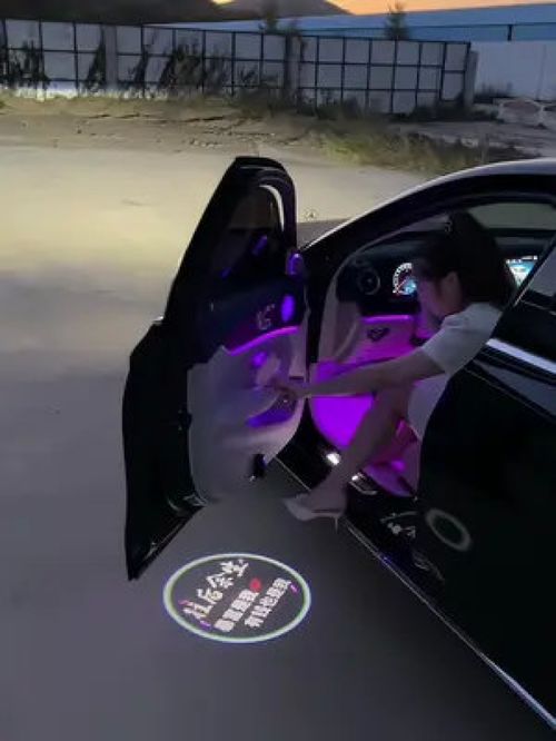 汽车迎宾灯价格多少