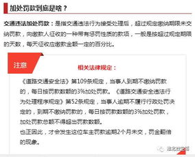 每年汽车交多少罚单