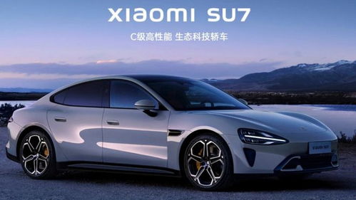 小米汽车大修价格多少
