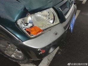 汽车撞人逃逸赔多少