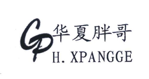 胖都来股东申请盈都来肥都来商标