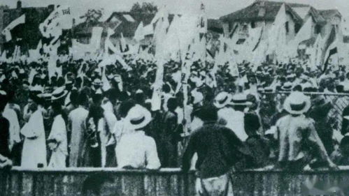 日本民众称从天天米饭到每周三次