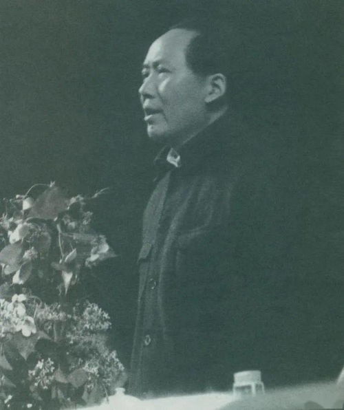 日本民众称从天天米饭到每周三次