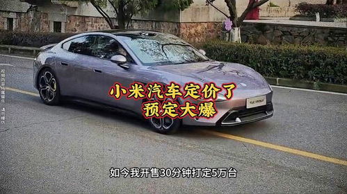 小米汽车大卖多少