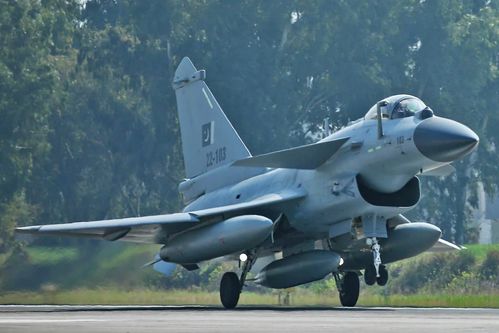 歼10CE模型成兰卡威海空展打卡点
