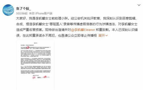 李凯馨发视频回应录音事件