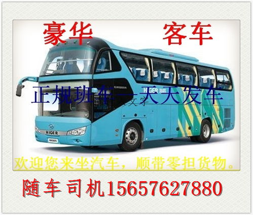 龙港汽车多少钱