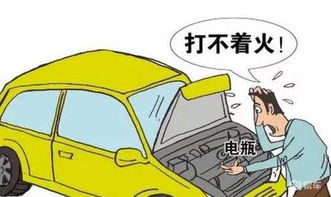 汽车履约险交多少 汽车履约险交多少