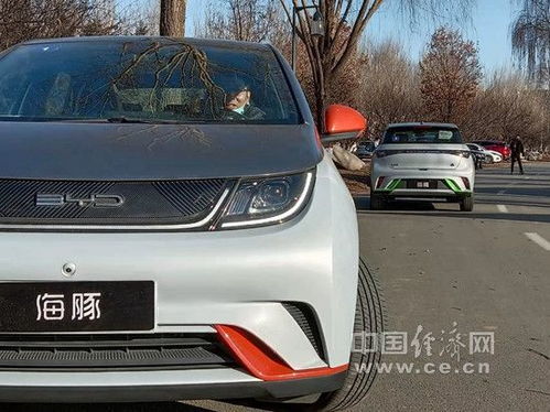 比亚迪汽车海豚电量多少