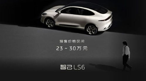30万汽车利润多少