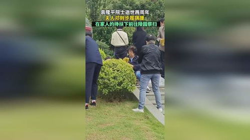 袁隆平夫人在亲友搀扶下到墓园祭扫