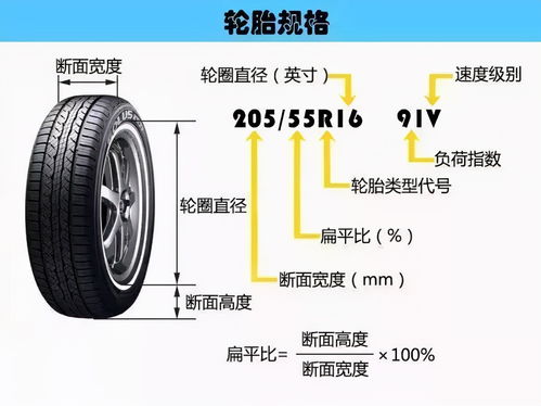汽车加轮胎汽多少