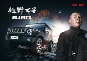 北京汽车代言费多少