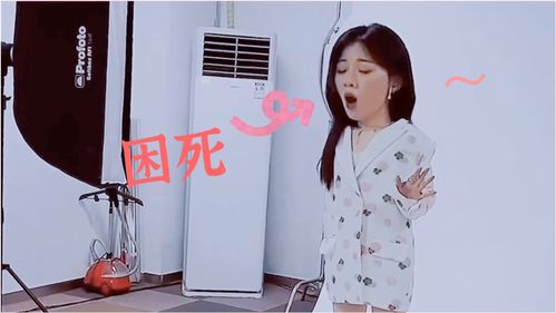 单依纯又困了