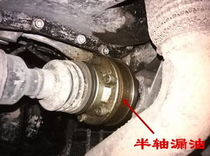 汽车上有多少油封