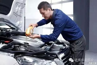 云南汽车养护学费多少