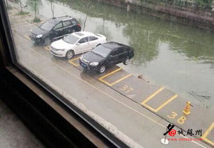 面试 有多少辆汽车
