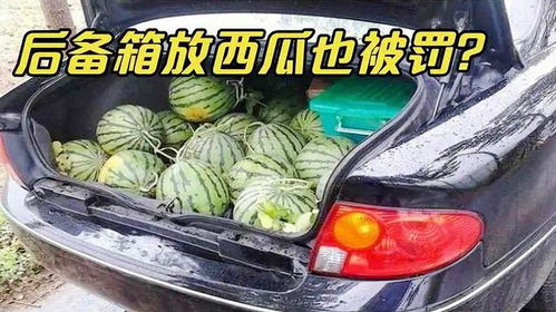 汽车能装多少西瓜