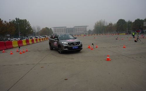 汽车绕桩距离是多少
