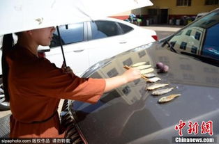 汽车引擎温度多少合适