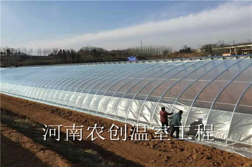 汽车拍摄大棚价格多少