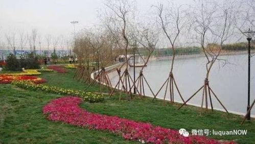 龙泉汽车公园多少亩