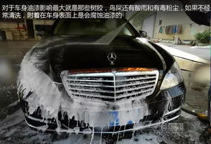 清洗汽车多少钱