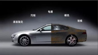 汽车漆是多少