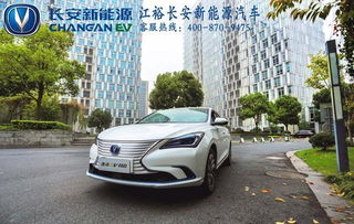 新余汽车多少钱