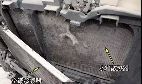 汽车水箱需要多少水压