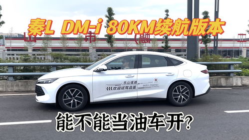 特斯拉汽车实测油耗多少
