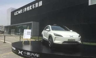 汽车尾标多少合格