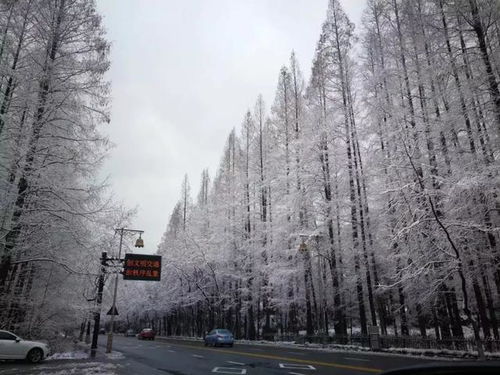 下雪天汽车跑多少
