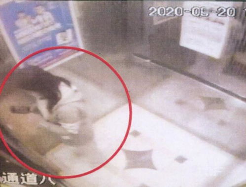 女海归家门口被捅死 凶手称正当防卫