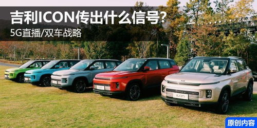 汽车标准重量多少