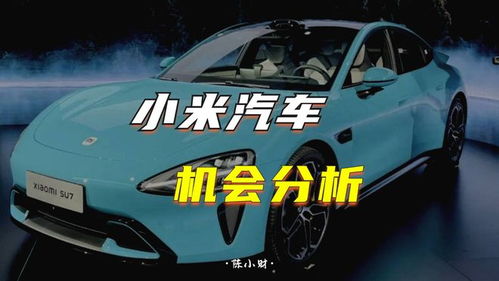 小米汽车对外投资多少