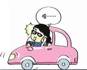 汽车丢了 保险赔多少