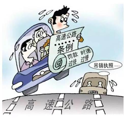 汽车撞家畜赔偿多少