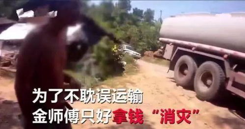 汽车撞家畜赔偿多少