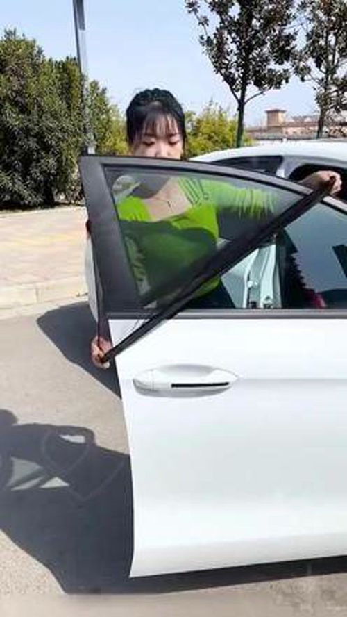 汽车简易纱窗价格多少 汽车简易纱窗价格多少