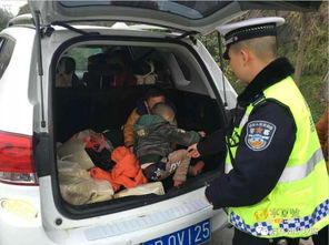 汽车拉货罚款多少 汽车拉货罚款多少