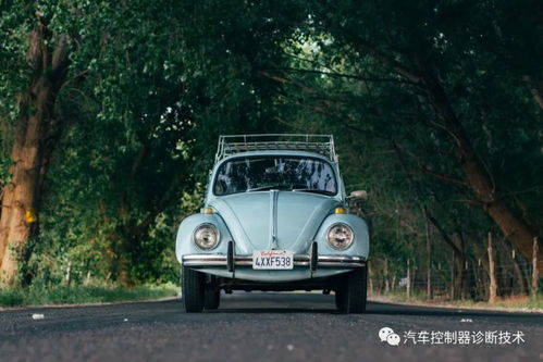 刘德华买了汽车多少辆车
