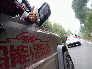 汽车极限高度多少