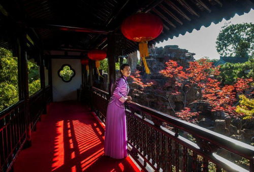 扬州一清代文物合院618元起拍