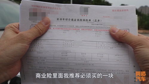汽车保险除以多少