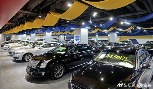 身高多少买全票汽车